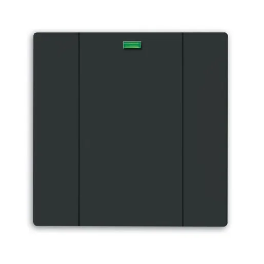 Busch-Jaeger 6125-81-101