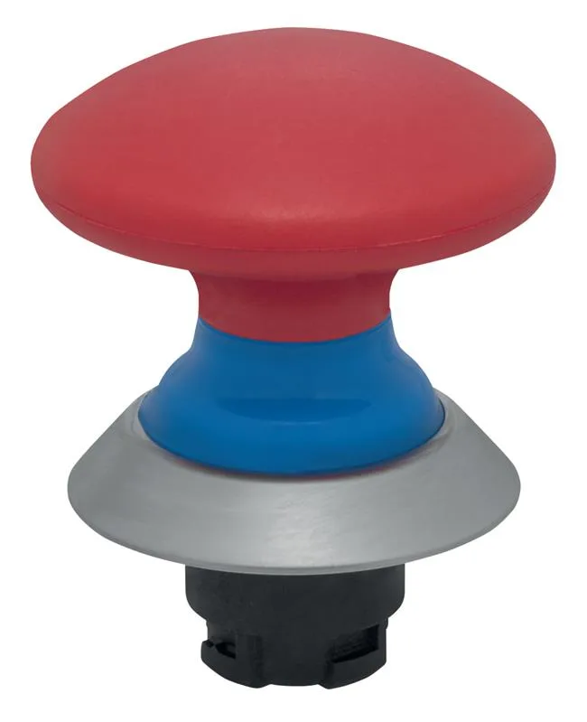 Schmersal NDP50BL/RT