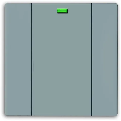 Busch-Jaeger 6125-89-101