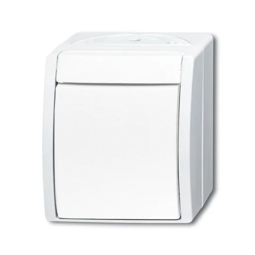 Busch-Jaeger 2621 W-54