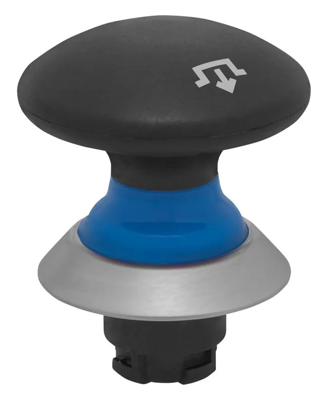 Schmersal NDRZ50BL/SW