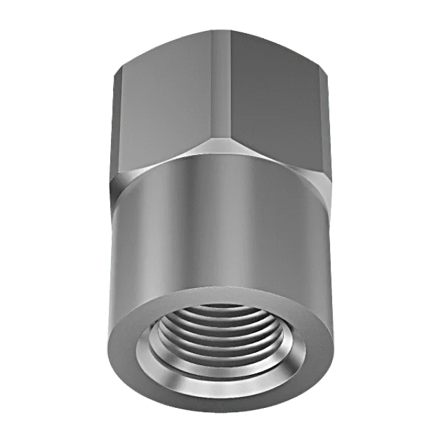 Lechler Sockets | 0402703000000 Accessories
