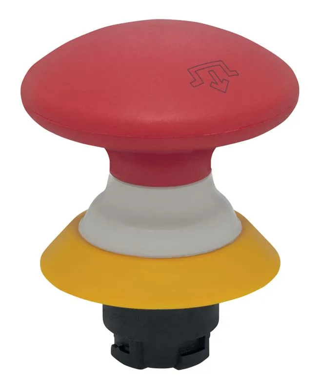 Schmersal NDRR50RT-2905-1
