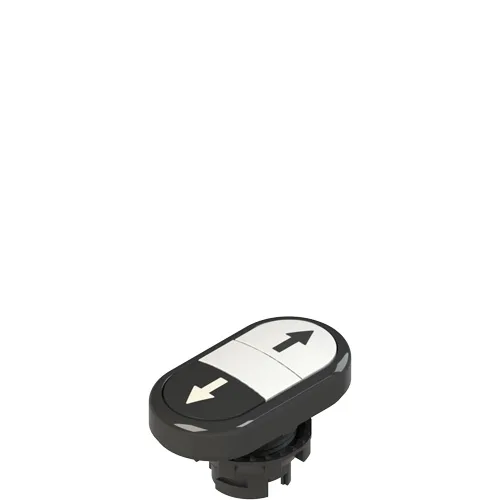 Pizzato E2 1PDRL1AABN Double lower flush pushbutton, with marking
