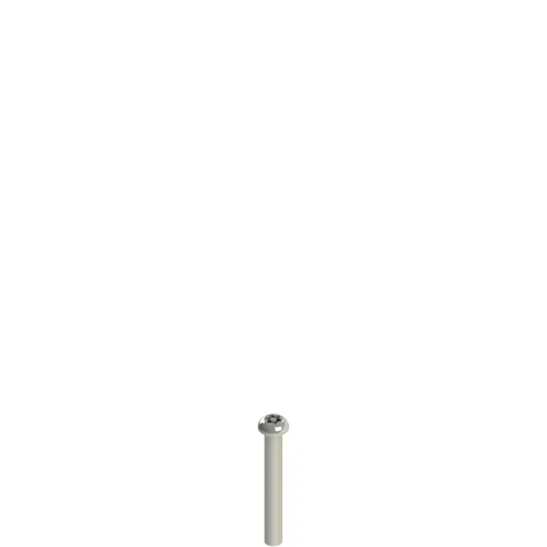 Pizzato VF VAM4X30BX-X Stainless steel security screws