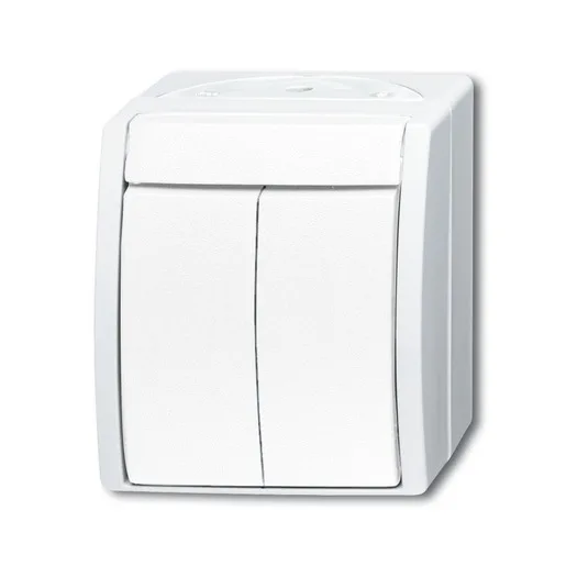 Busch-Jaeger 2601/5 W-54