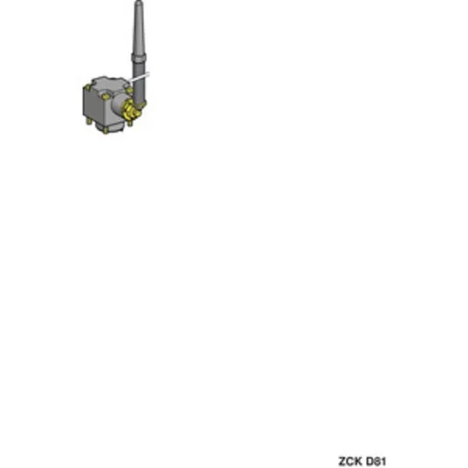 Schneider Electric ZCKD81