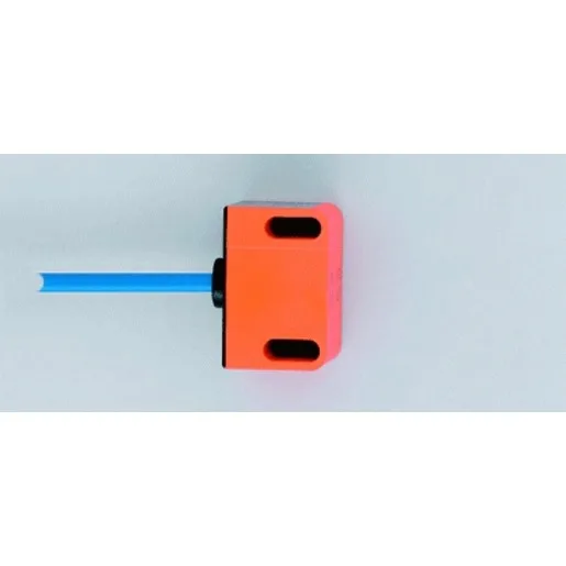 Ifm Electronic IND2004DN/1D/1G/2G