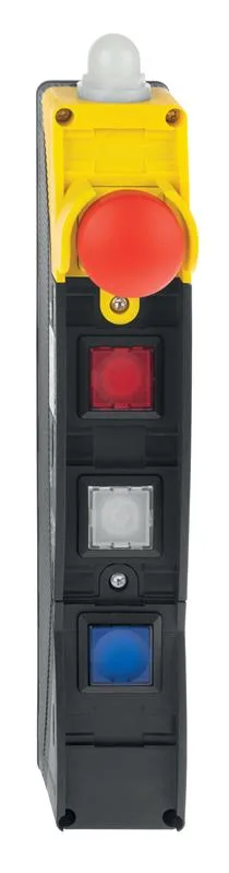 Schmersal BDF200-NHK-10-LT-LT-LT-G24-2875