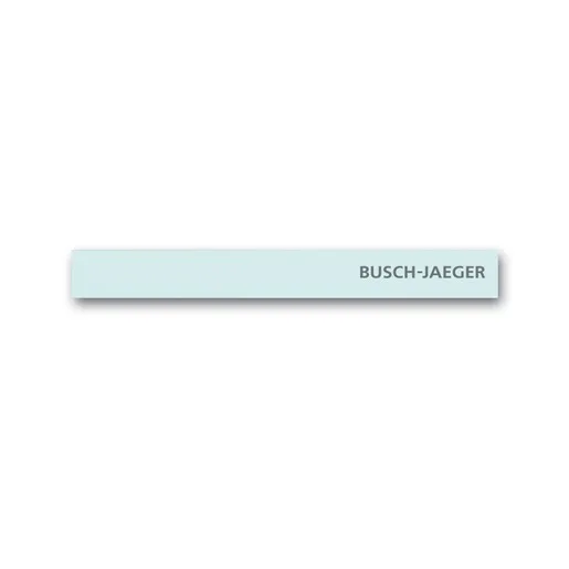 Busch-Jaeger 6349-810-101