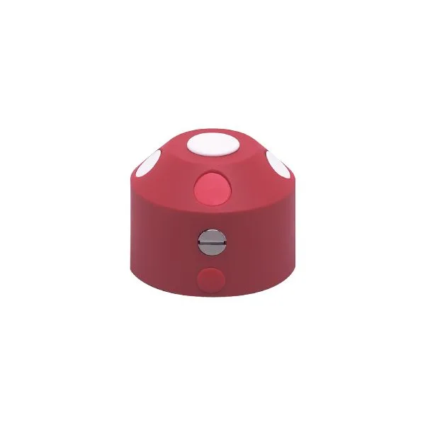 IFM PUCK/IND/RD/53/8 Vana aktuatörleri için hedef disk