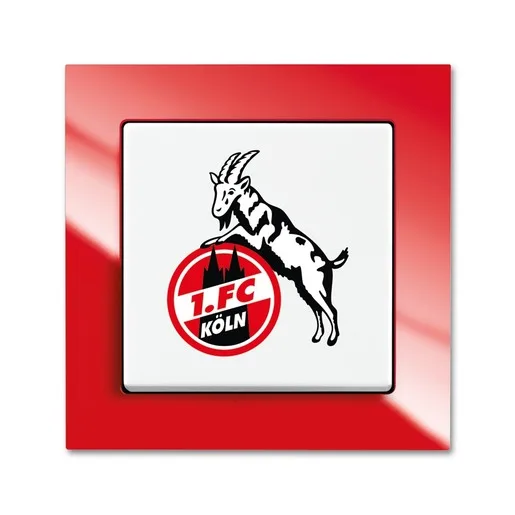 Busch-Jaeger 2000/6 UJ/04