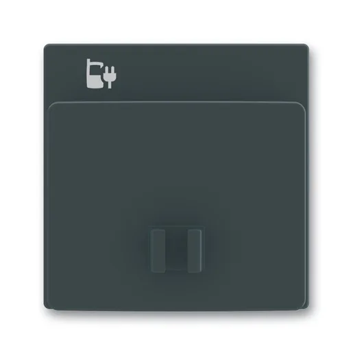 Busch-Jaeger 6478-81
