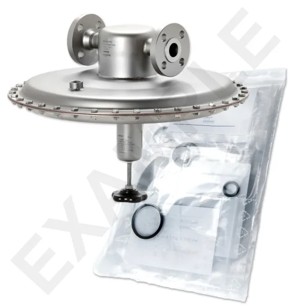 Mankenberg 6630102TA-E   WS Maintenance Kit WS/DM762    1 1/2* 16  1,5E0,01EV |