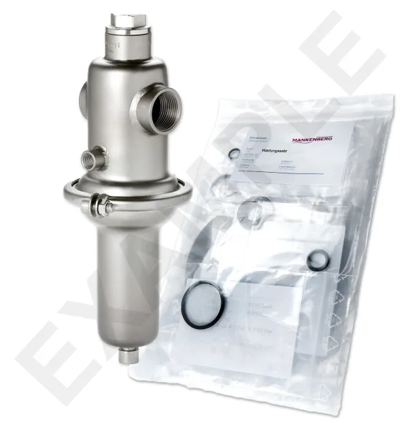 Mankenberg 6562033TA-E WS Maintenance Kit for DM 652 | DN 25 (1") | Art No 6562033TA-E