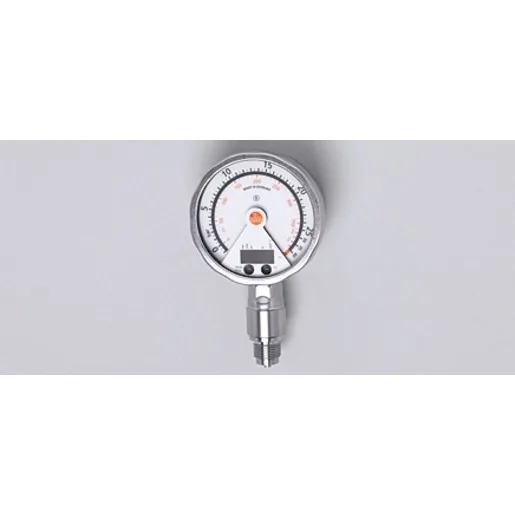 Ifm Electronic PG-025-REB12-MFRKG/US/      /P