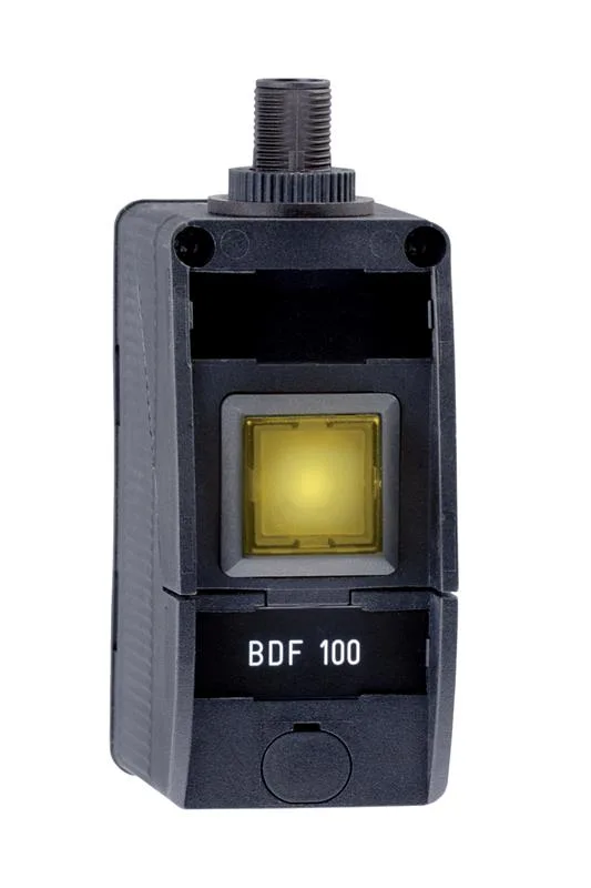 Schmersal BDF100