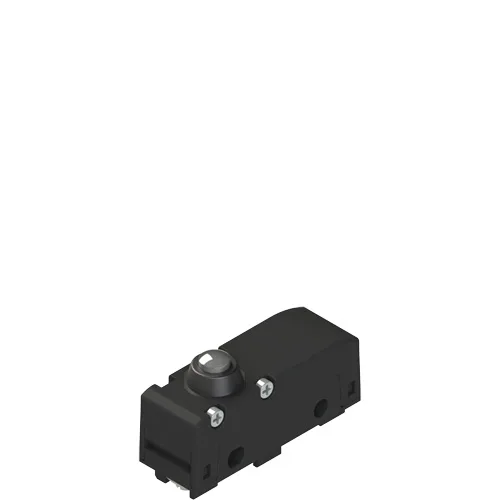 Pizzato MK V11D05 Microswitch with short plunger