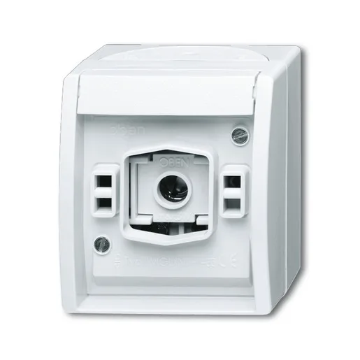 Busch-Jaeger 2661 W-54