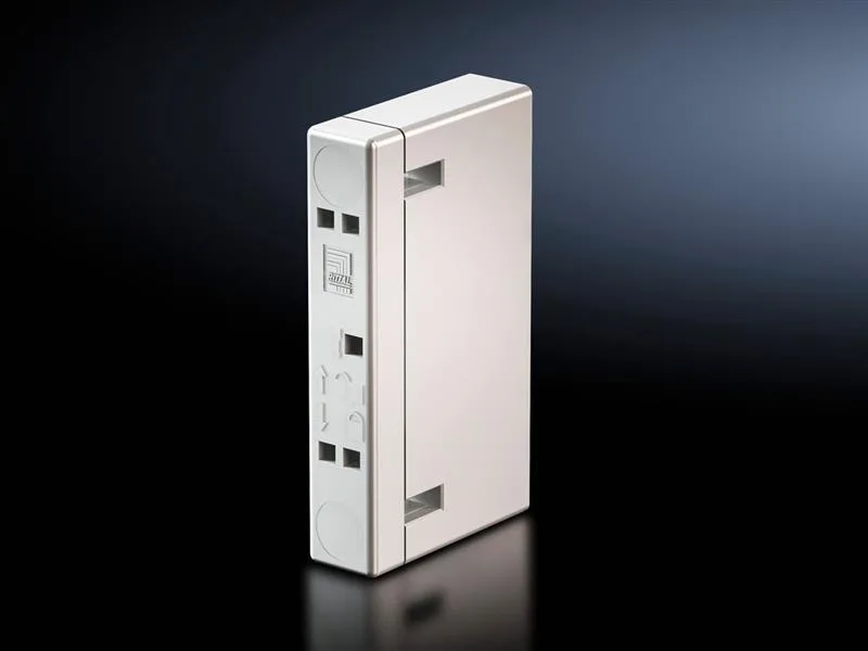Rittal SV 9600.005 SV Busbar support, 2-pole, 70 mm bar centre distance, for busbar WH: 12x5 mm