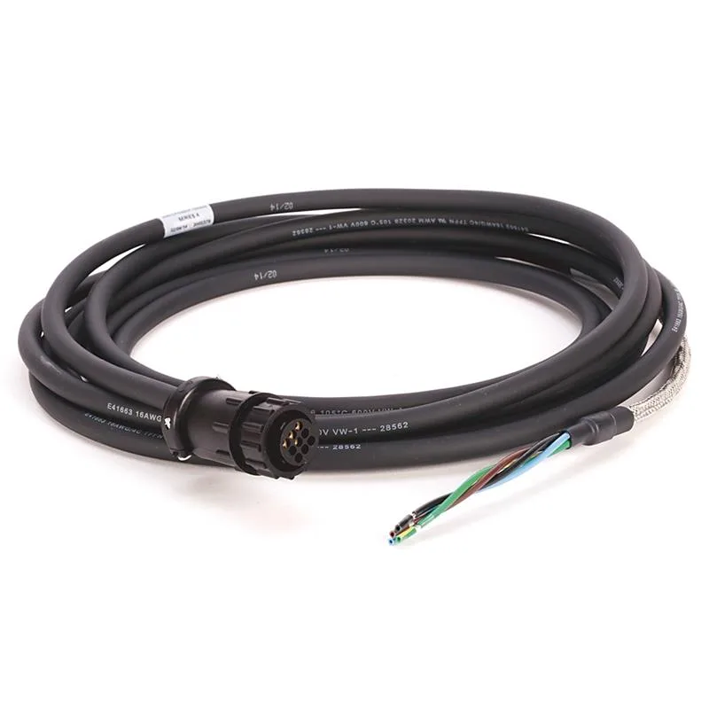Allen Bradley 2090-CPWM6DF-16AA05 Cable