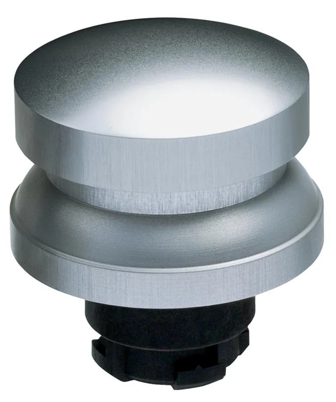 Schmersal RDP40WS