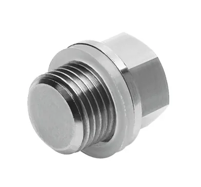 Festo CDVI5.0-B-G3/8 Körleme