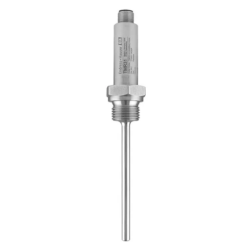 Endress + Hauser TMR31-A11BBBAX1AAA