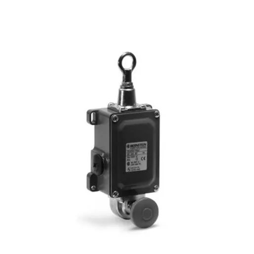 Bernstein SID-UV2Z P-RAST