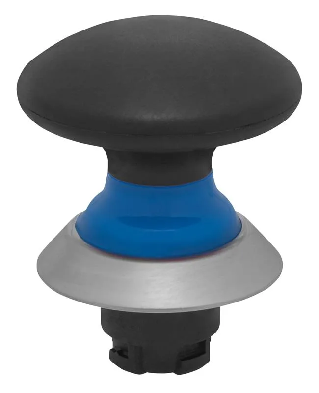 Schmersal NDP50BL/SW