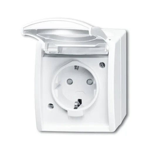 Busch-Jaeger 20 EBW-54