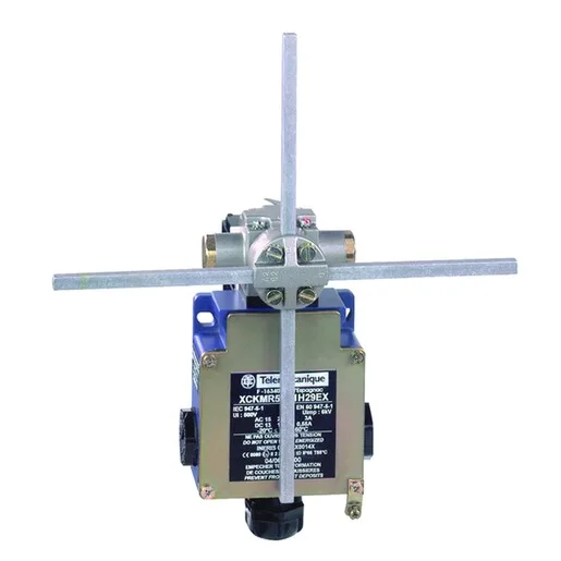 Schneider Electric XCKMR54D1H29EX