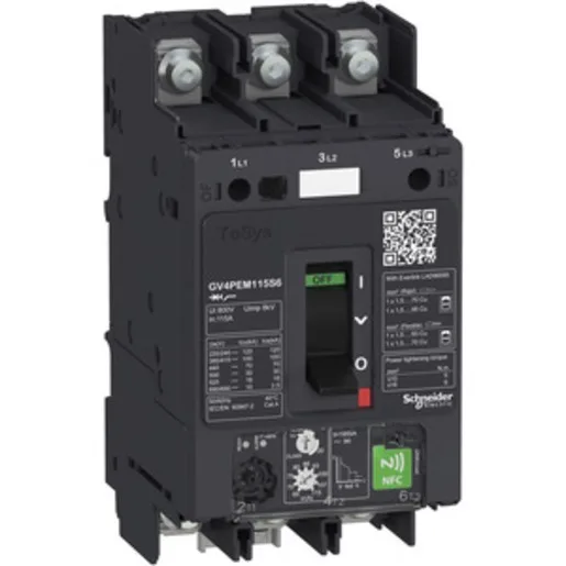 Schneider Electric GV4PEM80B6