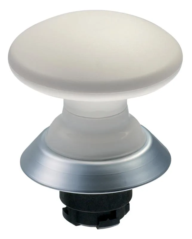 Schmersal NDP50WS