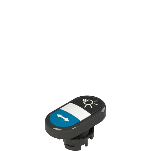 Pizzato E2 1PDRL1AADL Double lower flush pushbutton, with marking