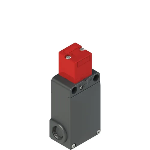 Pizzato FS 1896D024-M2 FS series safety switch with separate actuator with lock