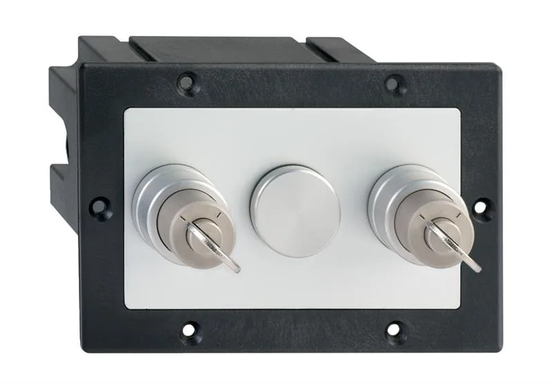 Schmersal SVE2/101/101-24VDC