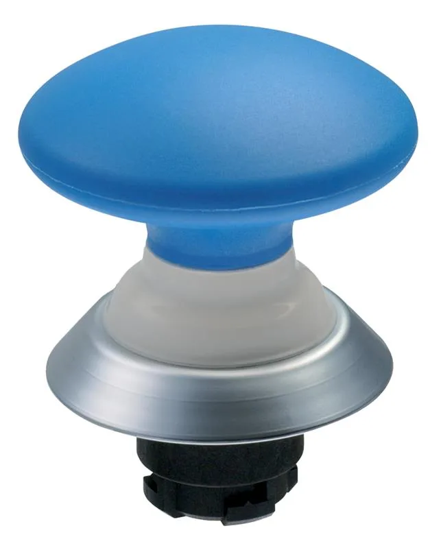 Schmersal NDP50BL
