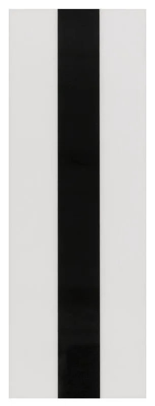 Leuze OTB 30/100-BK/WH250 Folyo