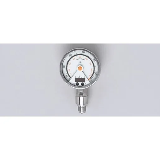 Ifm Electronic PG-100-REB12-MFRKG/US/      /P