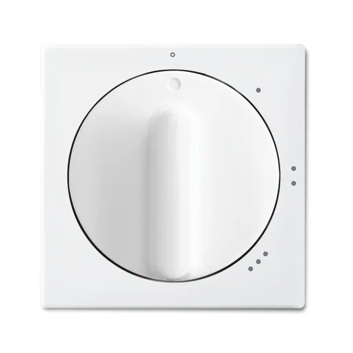 Busch-Jaeger 2542 DR/01-914