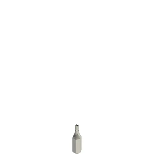 Pizzato VF VAIT1T20 Safety screws bits
