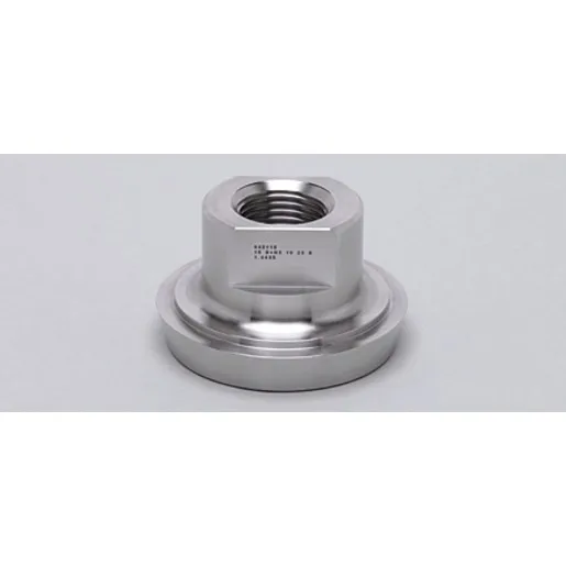 Ifm Electronic ADAPT G1/2-DIN11851 DN40