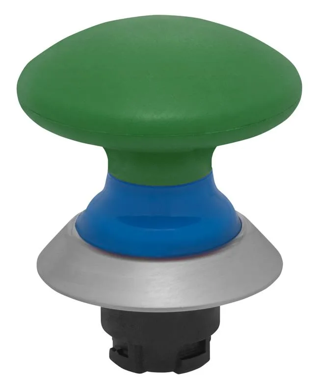 Schmersal NDP50BL/GN