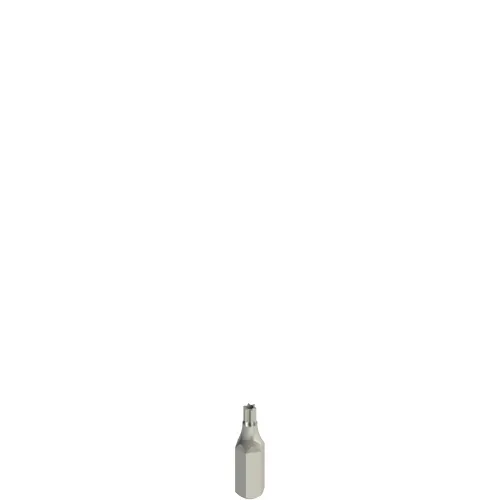 Pizzato VF VAIT1T25 Safety screws bits