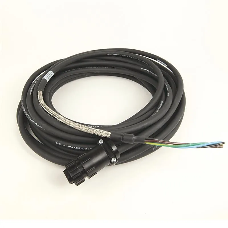 Allen Bradley 2090-CPWM6DF-16AA12 Cable