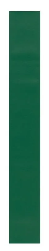 Leuze OTB 40-GN250 Folyo