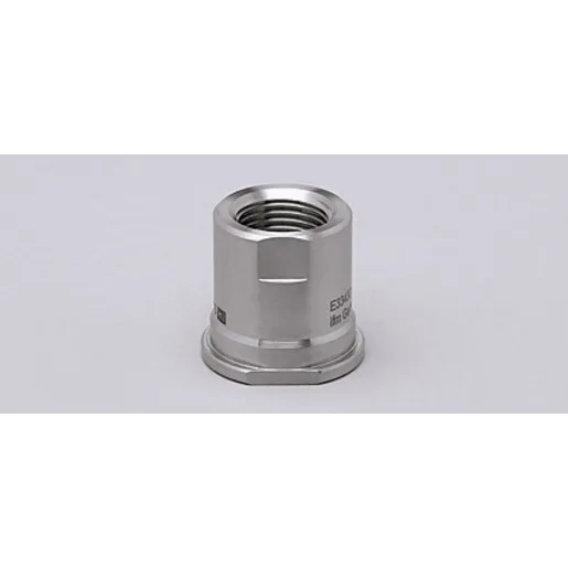 Ifm Electronic ADAPT G1/2-SMS DN25
