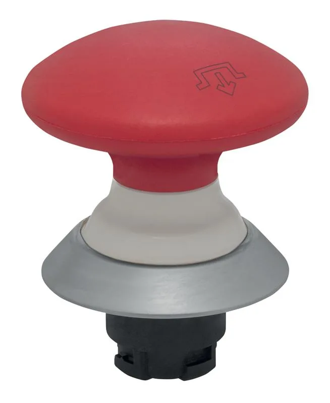 Schmersal NDRZ50RT