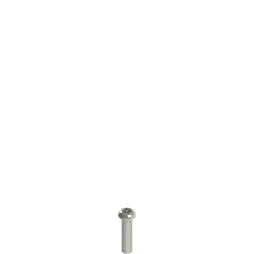 Pizzato VF VAM5X20BX-X Stainless steel security screws